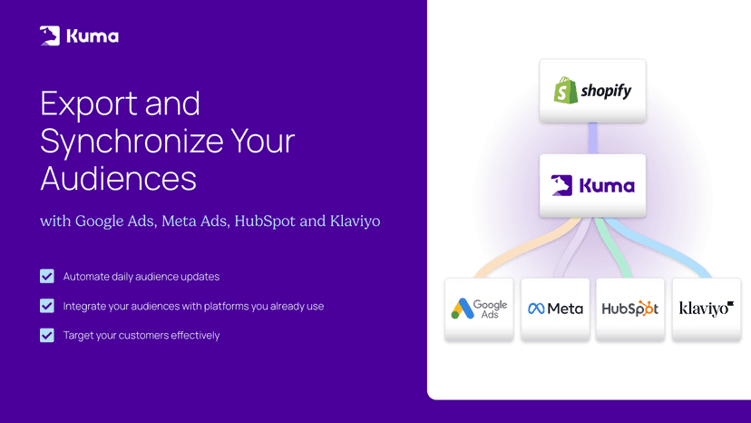 Audience Synchronization With Klaviyo, HubSpot, Google & Meta