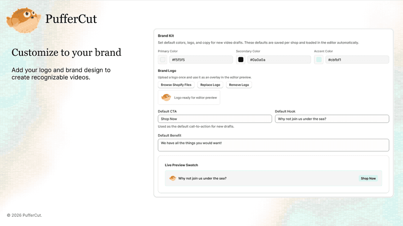 Brand kit feature