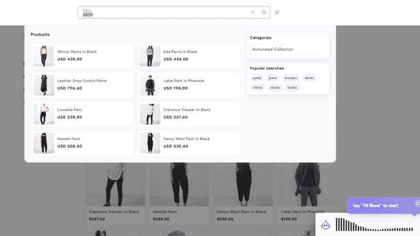 Recomdo AI enhanced site search suggestion popup