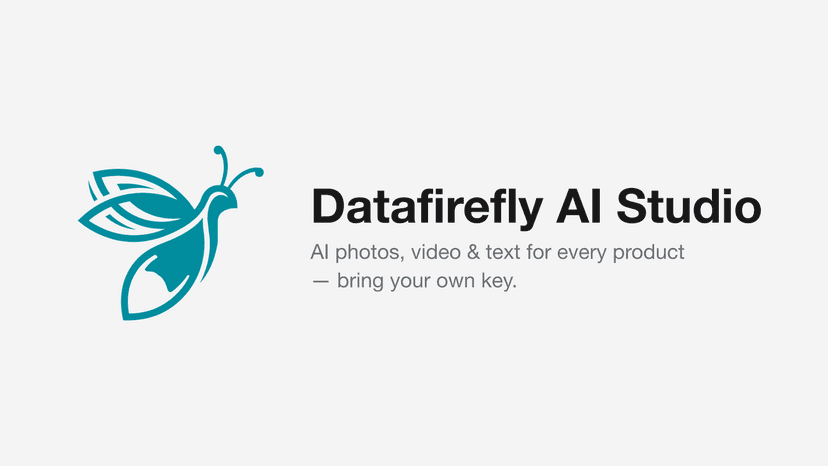 Datafirefly AI Studio — AI photos, video & text for products