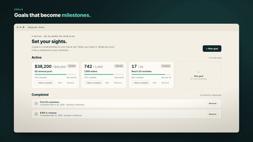 Goals page tracking revenue and order targets