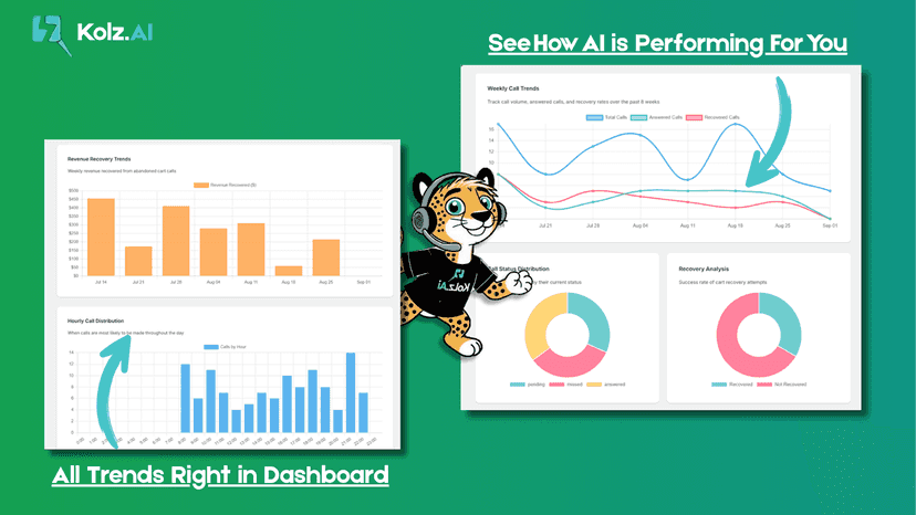 The screenshot provides a comprehensive overview of analytics an