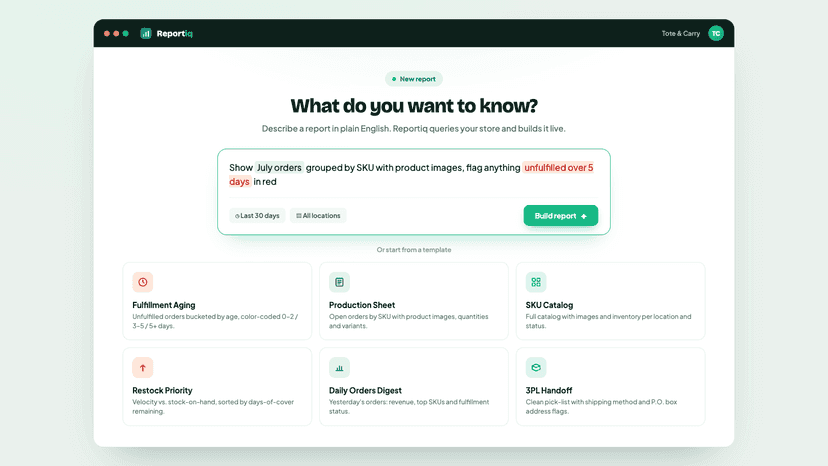 Reportiq's natural-language report builder