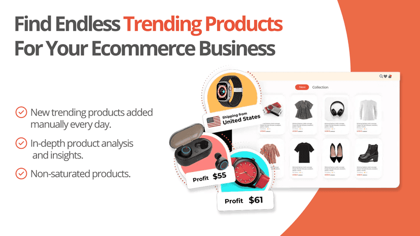 Find Dropshipping products