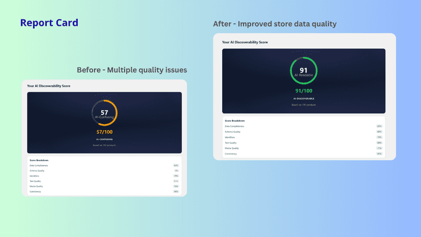 zelium-store-report