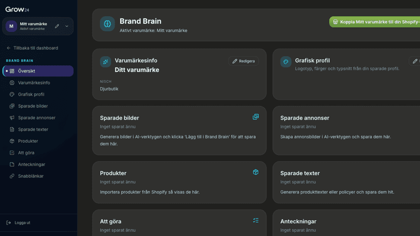 Brand Brain showing brand assets and store connection