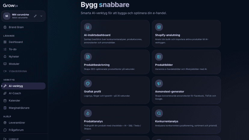 AI tools overview including product descriptions and ad copy