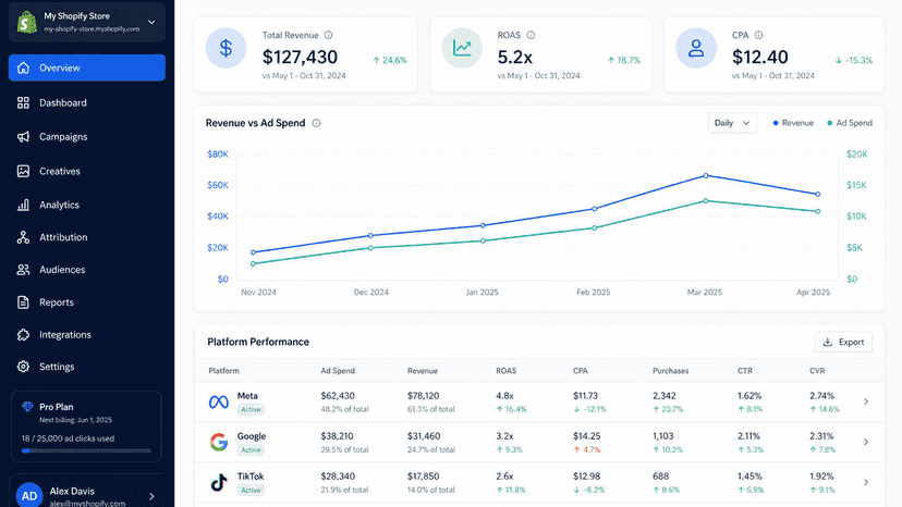 Track ROAS, revenue and conversions across all ad platforms