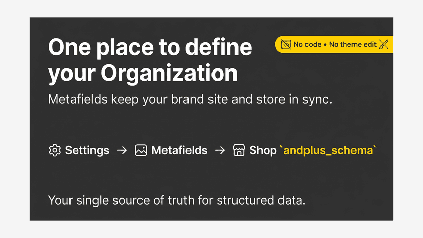 Set up Organization and store information in the metafield.