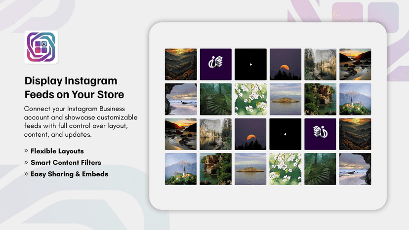 social gallery instagram feed