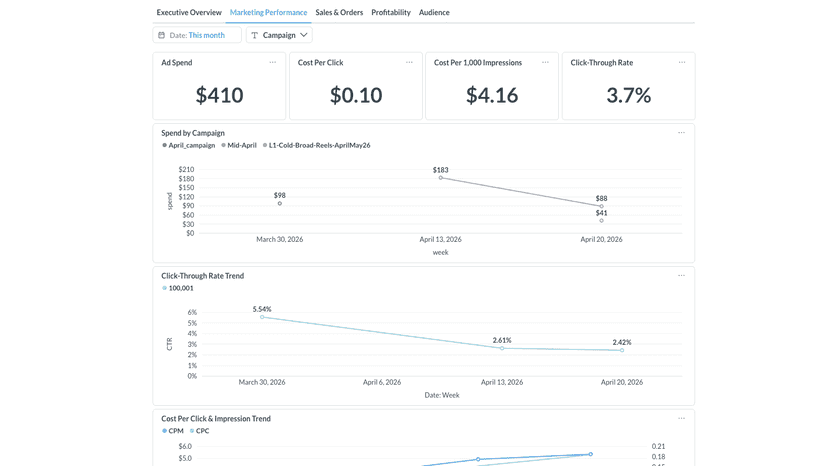 Marketing Performance
