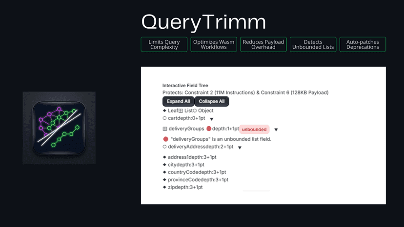 Shopify Functions developer tools detecting unbounded lists