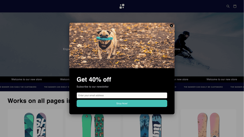 Popup showing image of a dog and input field for email