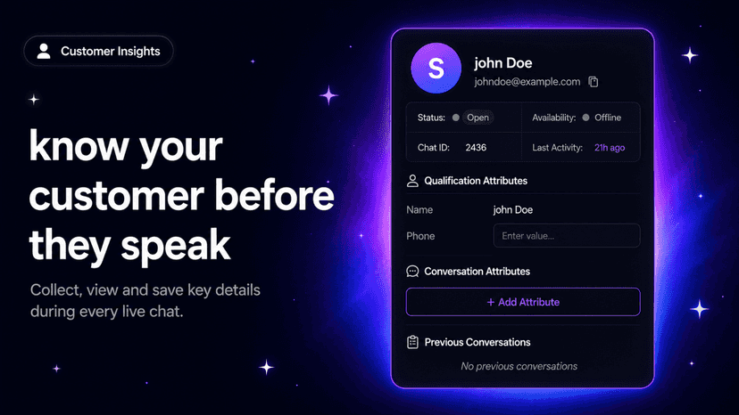 Customer insights panel showing live chat details
