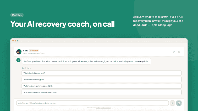 Meet Sam - Your AI Dead Stock Coach