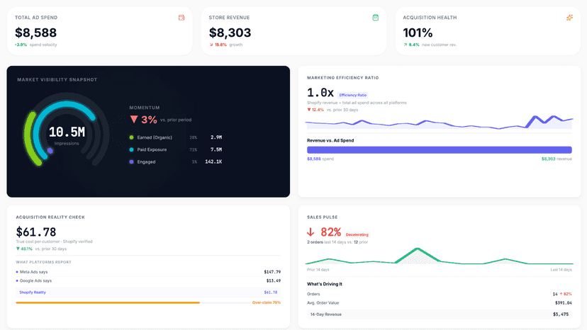Dashboard Overview
