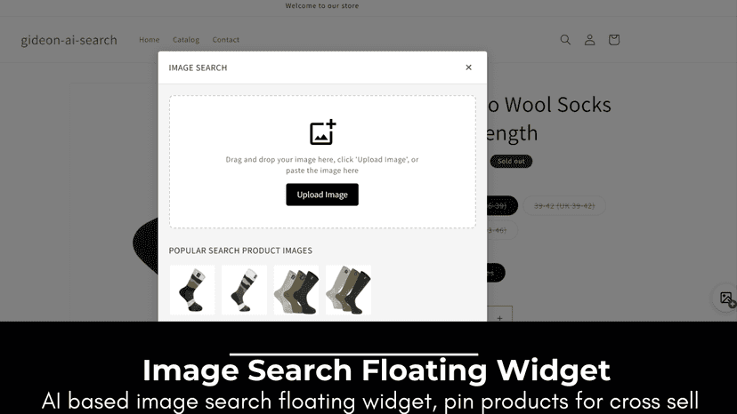 Floating Widget Image search