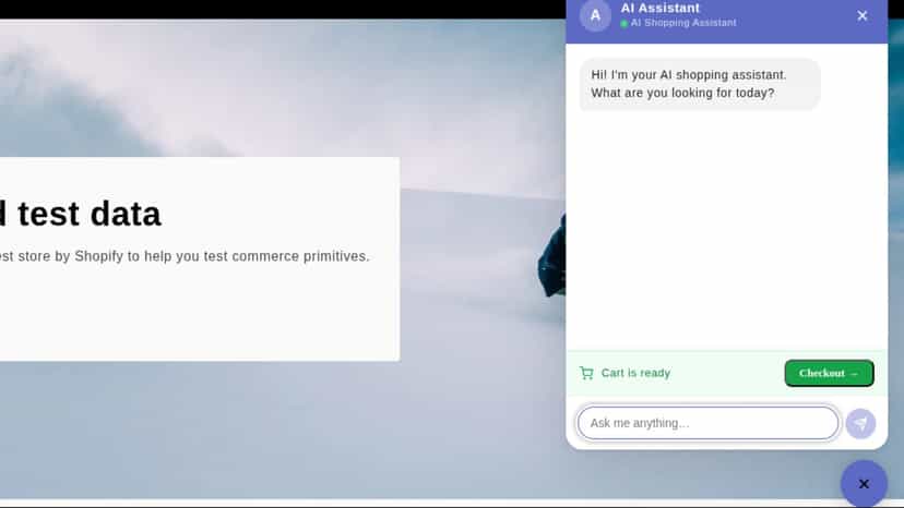 chat widget