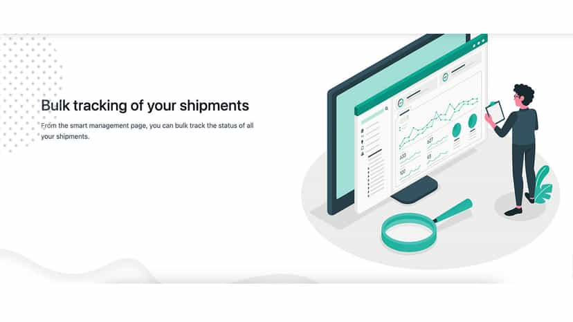 Bulk shipment tracking