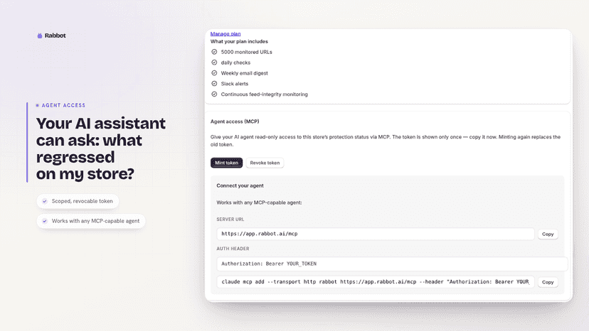 Agent access panel: connect an AI assistant via MCP