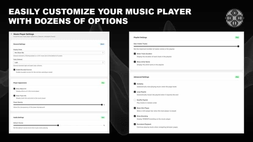 Theme customizer settings panel with player options