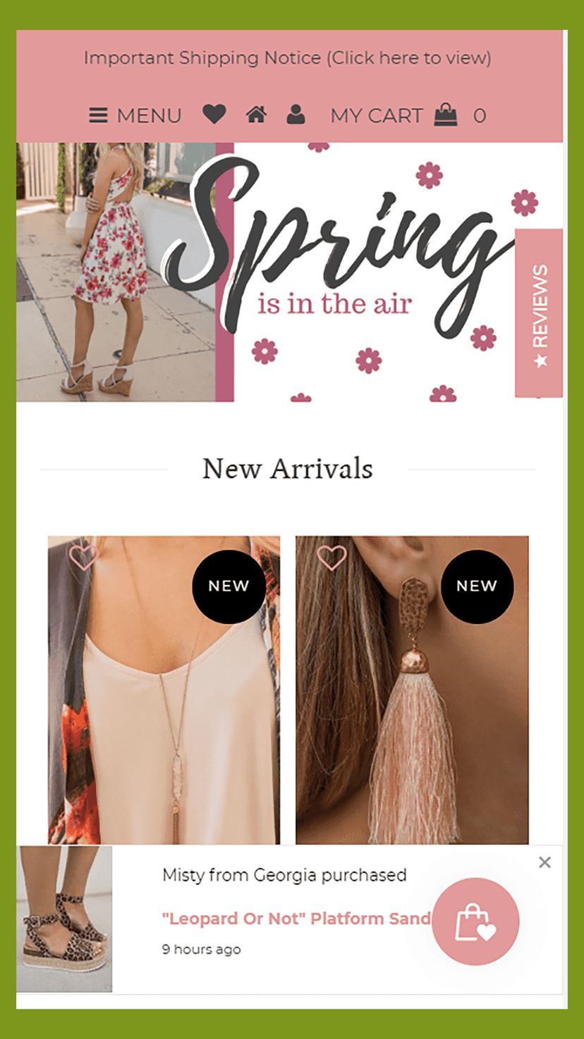 Zooomy sales pop