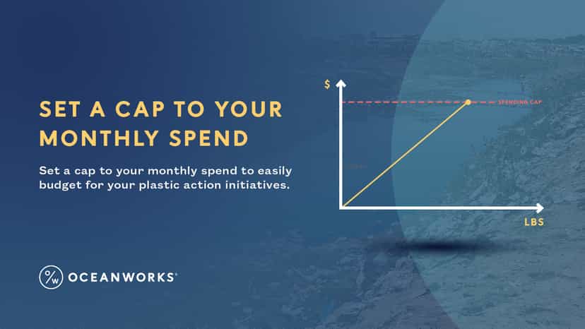 Set a Cap to Your Monthly Spend
