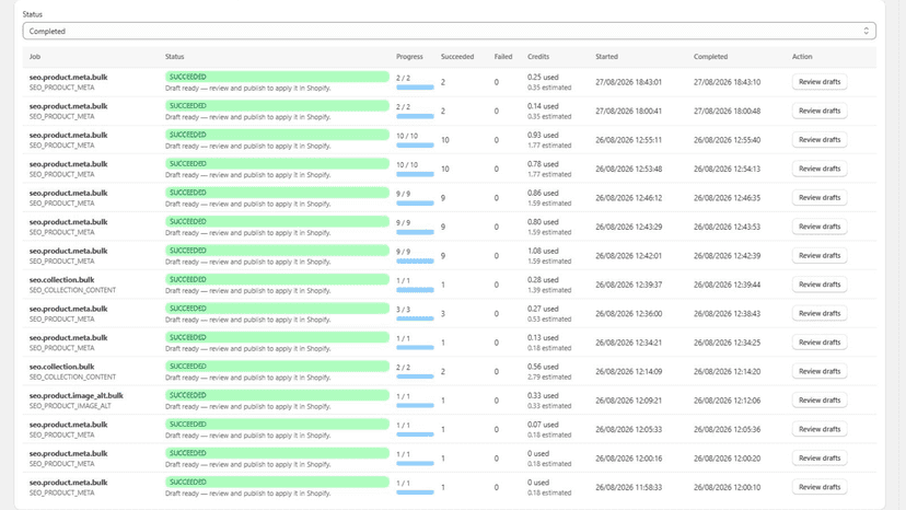 Completed SEO jobs with progress and credit usage