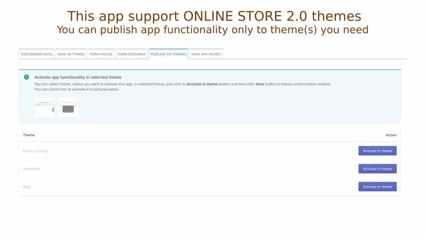 Online Store 2.0 themes support
