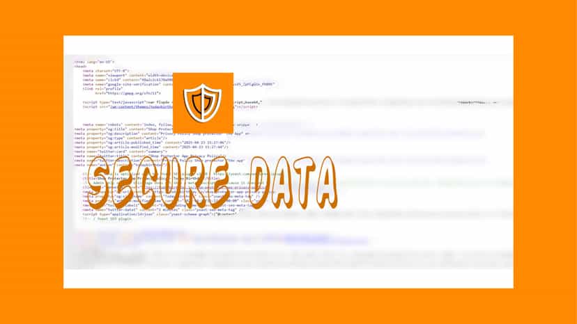 shop protector secure data