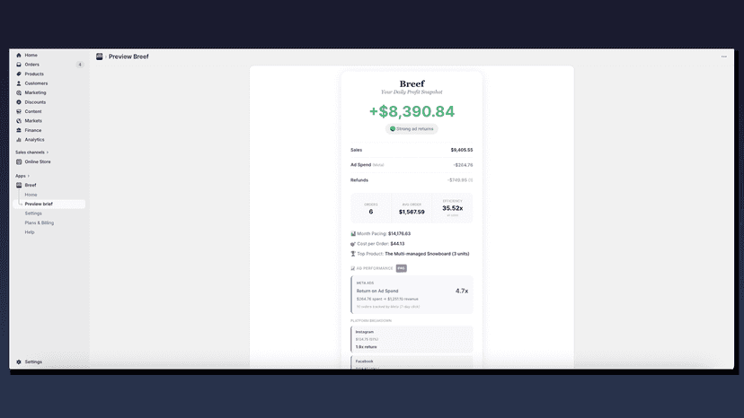 Your daily profit snapshot — True Profit, MER, and key metrics