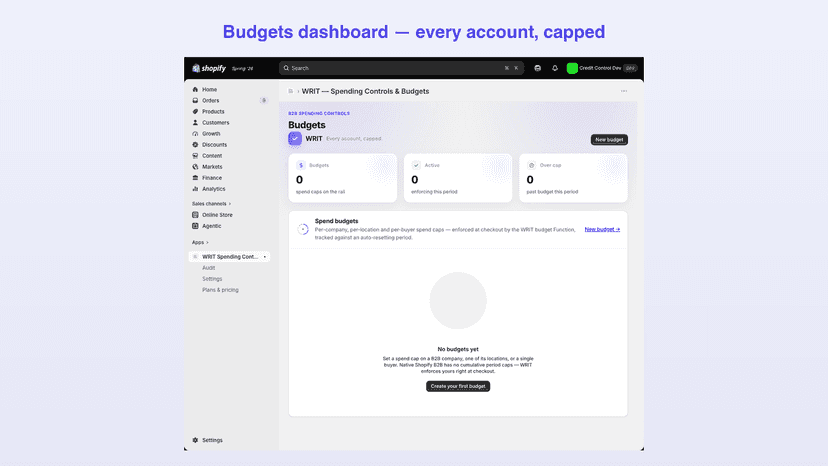 WRIT Spending Controls and Budgets for B2B