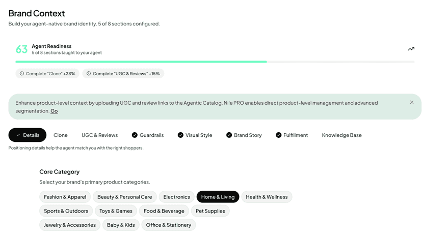 Brand context setup with category, audience, and intent tags