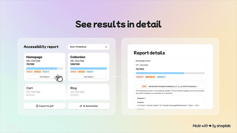Detailed accessibility reports for each store page
