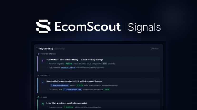 EcomScout Signals - Competitor Monitoring App