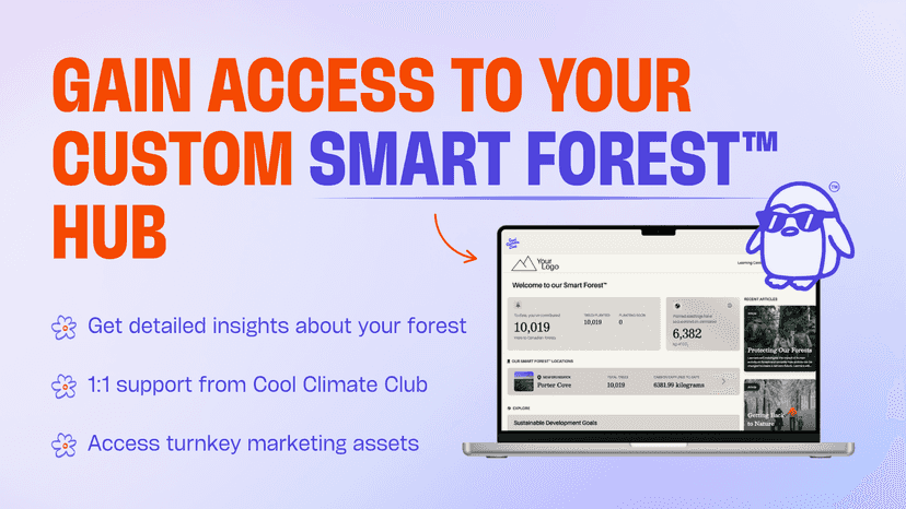 Gain access to your custom Smart Forest hub to monitor growth