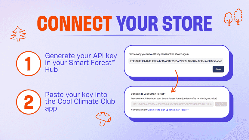 Connect your store using the API key from your hub
