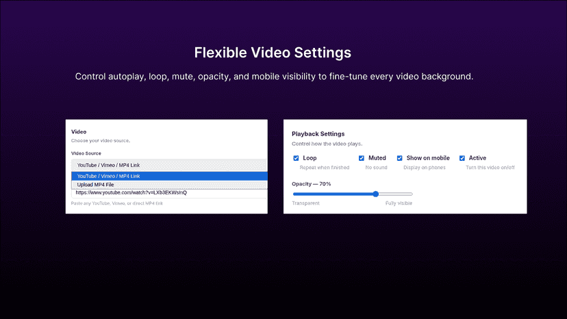Bgify - Video Background: Video Settings