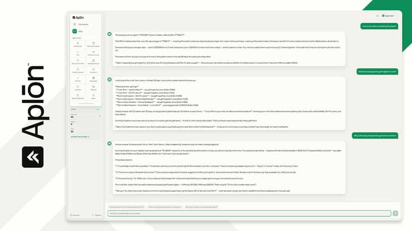 Aplo AI chat explaining sales trends and product insights