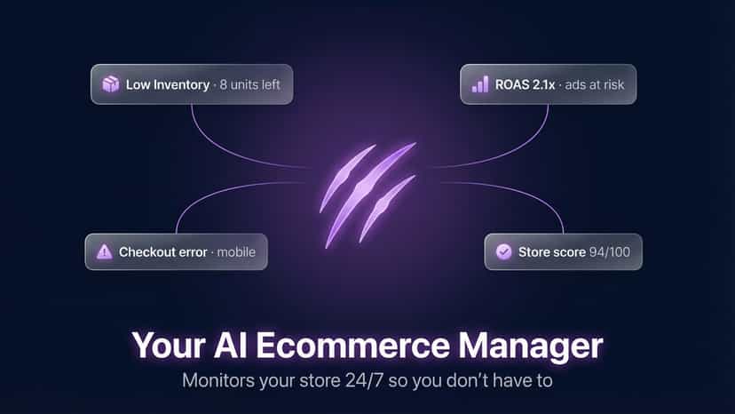 AI ecommerce manager monitoring your Shopify store 24/7