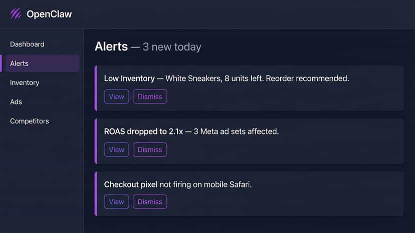AI alerts for inventory, ads and technical store issues
