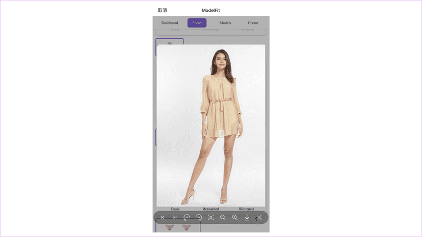 Example of Dress Virtual Try-On Effect