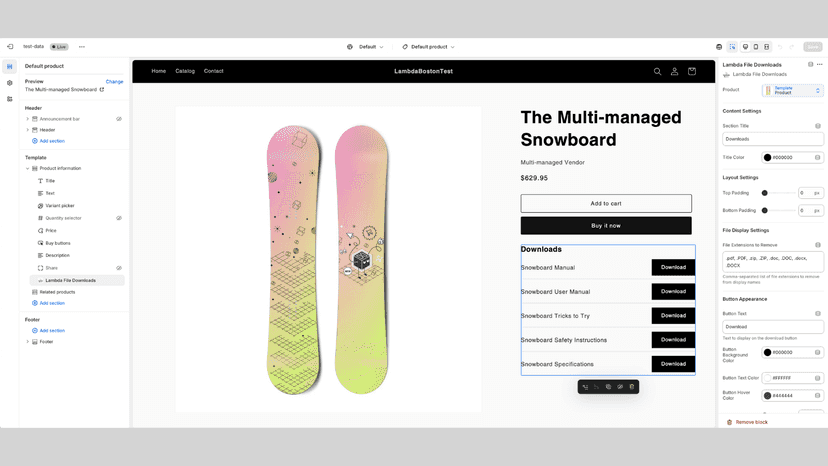Theme editor view showing optional customizations