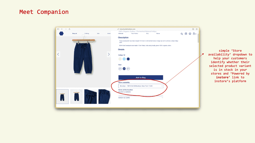 "Meet Companion" with screenshot of instore app fully installed