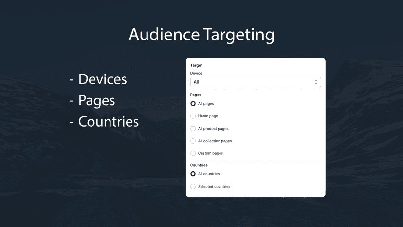 Audience Targeting