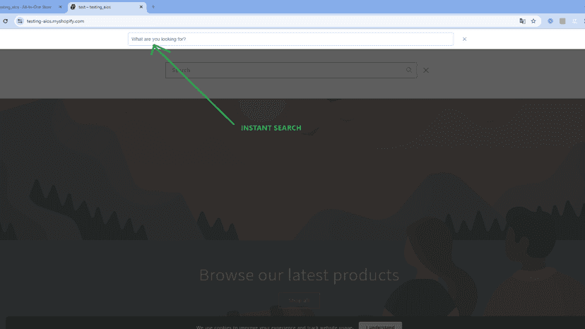 Instant search
