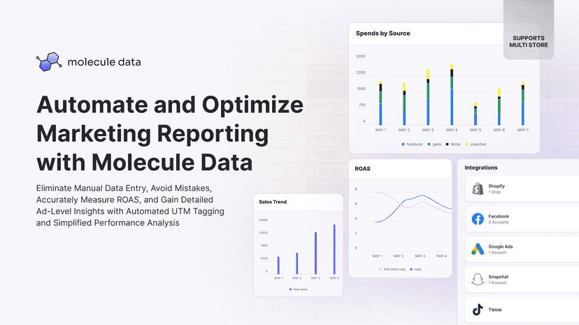 Automate and Optimize Marketing Reporting with Molecule Data