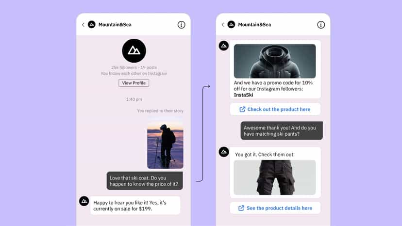 A story reply to Instagram DM with an AI Agent conversation.