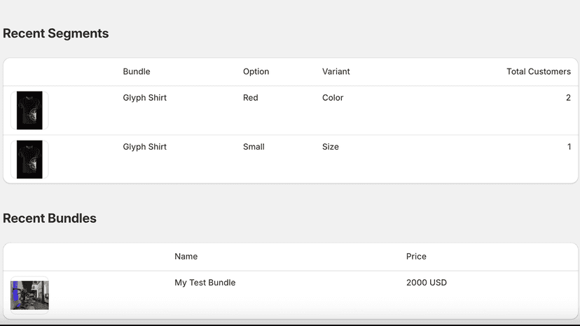Home screen showing created segments and bundles
