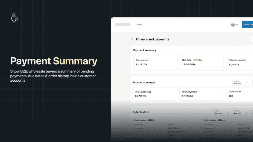 payment summary